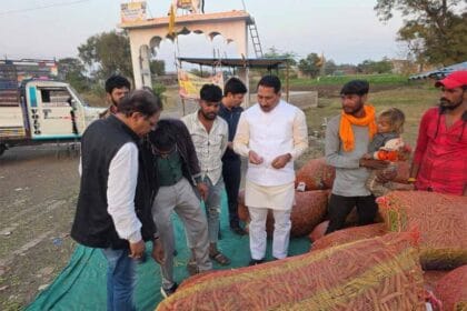 कृषि मंत्री कंषाना ने मटर की फसल का निरीक्षण कर किसानों से किया संवाद