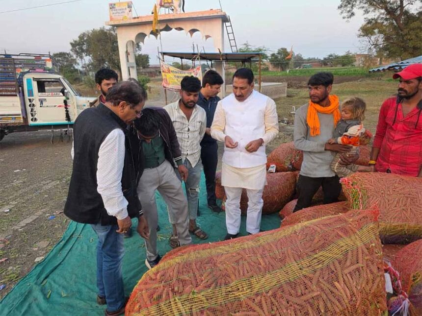 कृषि मंत्री कंषाना ने मटर की फसल का निरीक्षण कर किसानों से किया संवाद