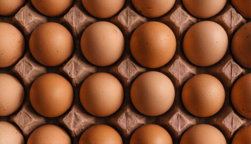Egg Price रिकॉर्ड हाई: सर्दियों में 25–50% तक महंगे हुए अंडे, जनवरी में और बढ़ोत