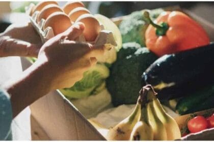 बिना फ्रिज के भोजन को लंबे समय तक ताजा रखने के आसान तरीके