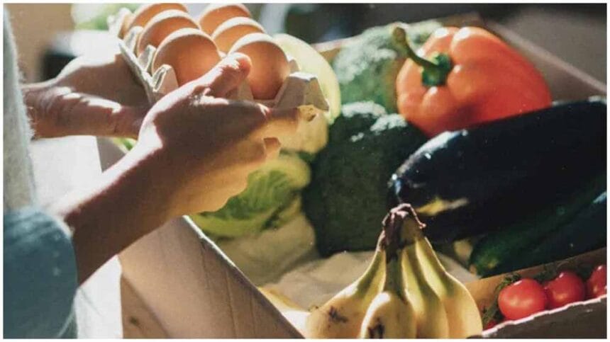 बिना फ्रिज के भोजन को लंबे समय तक ताजा रखने के आसान तरीके