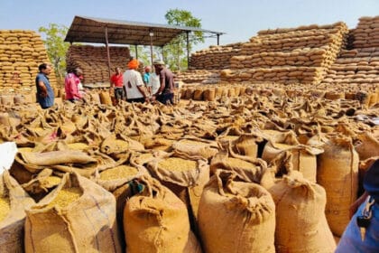 उत्तर बस्तर कांकेर: किसानों ने अब तक 2.21 लाख मेट्रिक टन से अधिक धान बेचा