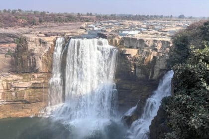 रीवा बना पर्यटकों की पसंद, 80% बुकिंग के साथ होम स्टे और बैलगाड़ी में मजेदार अनु