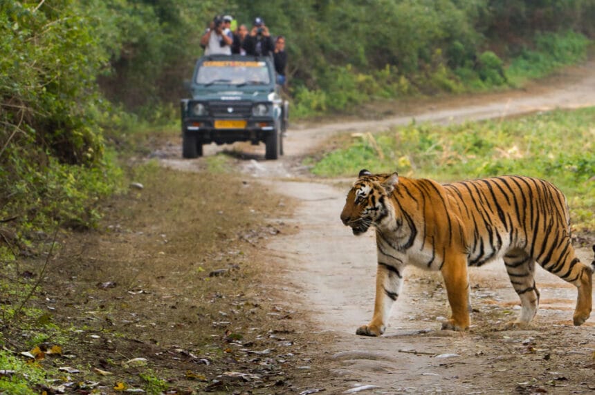 टाइगर रिज़र्व सफारी के लिए धोखाधड़ी से बचने के लिए करें MPOnline.gov.in से बुकिं
