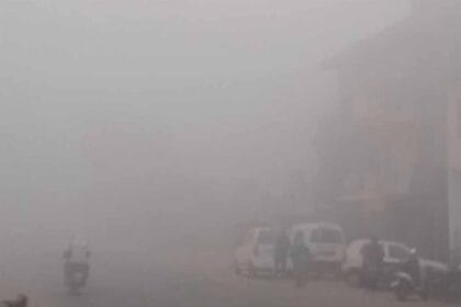 उत्तर भारत में ठंड का डबल अटैक: पंजाब-हरियाणा व चंडीगढ़ के कई इलाकों में घना कोह