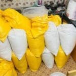 सीमा पार ड्रग्स सिंडिकेट पर बड़ी कार्रवाई, अमृतसर से सात आरोपी गिरफ्तार