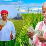 प्रधानमंत्री फसल बीमा योजना  तहत रबी फसलों के लिए बीमा कराने की अंतिम तिथि 31 दि