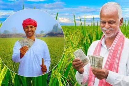 प्रधानमंत्री फसल बीमा योजना  तहत रबी फसलों के लिए बीमा कराने की अंतिम तिथि 31 दि