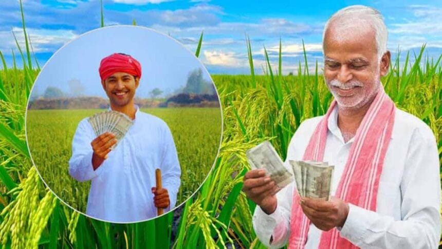 प्रधानमंत्री फसल बीमा योजना  तहत रबी फसलों के लिए बीमा कराने की अंतिम तिथि 31 दि