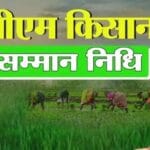 पीएम किसान योजना में सख्ती: किस्त पाने के लिए 5 जनवरी तक फार्मर रजिस्ट्री जरूरी,