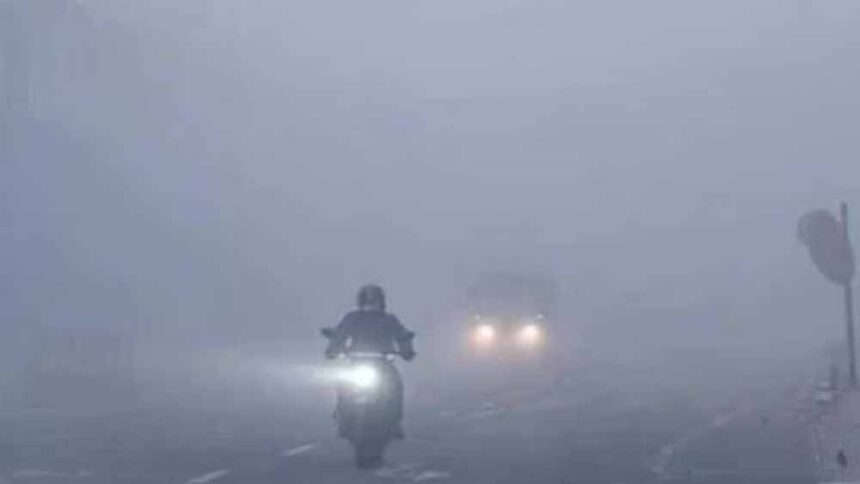 ठिठुरन बढ़ेगी! छत्तीसगढ़ में 3 दिन में लुढ़केगा पारा, उत्तर-मध्य हिस्सों में शीत