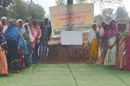 50 वर्षों बाद धमतरी के आदिवासी अंचल में रबी खेती की वापसी