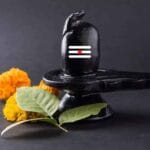 श्रद्धा का प्रतीक बेलपत्र: क्यों महादेव को अति प्रिय है यह पत्ता, क्या है जन्म क