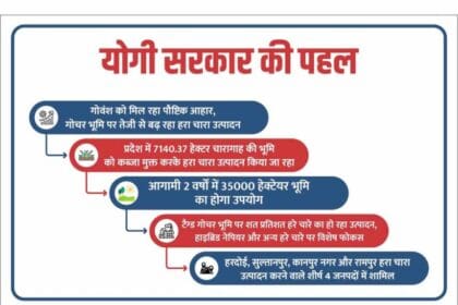 योगी सरकार की संवेदनशील पहल: गोवंश को मिल रहा पौष्टिक आहार, गोचर भूमि पर तेजी से