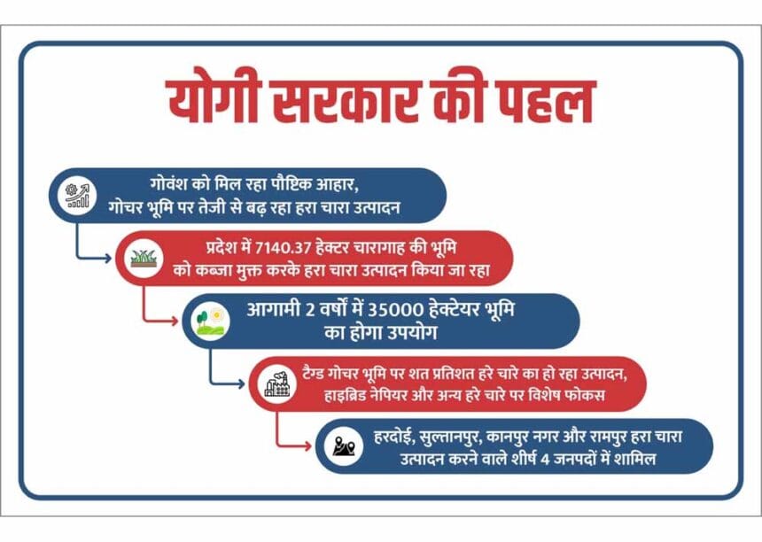योगी सरकार की संवेदनशील पहल: गोवंश को मिल रहा पौष्टिक आहार, गोचर भूमि पर तेजी से