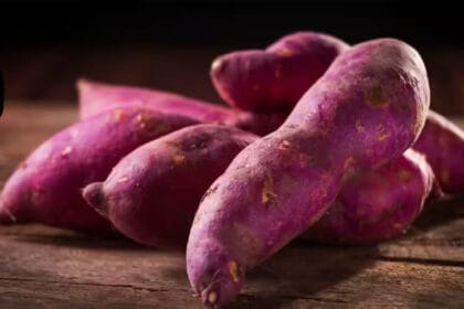 क्या आप शकरकंद को सिर्फ सब्जी समझते हैं? इसके 6 हैरान कर देने वाले फायदे जानकर च