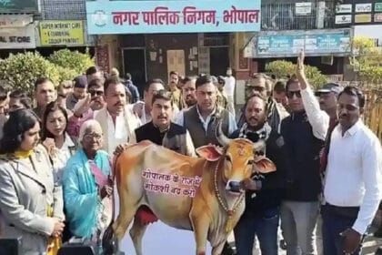 गौमांस विवाद पर नगर निगम अध्यक्ष ने लिया सख्त रुख, दोषियों को छोड़ने की नहीं होग