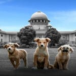 सुप्रीम कोर्ट का बड़ा फैसला: कुत्ते के काटने से हुई मौत पर राज्य सरकार को भरना ह