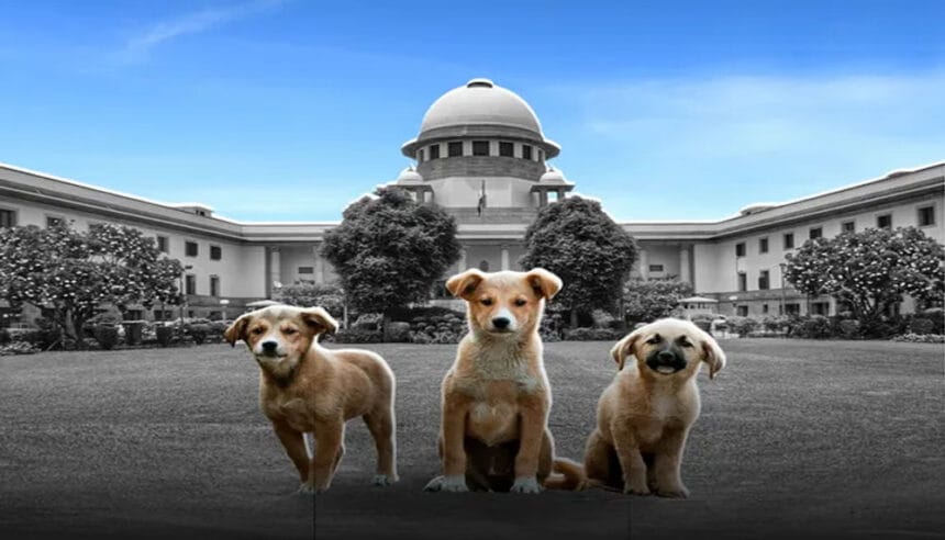 सुप्रीम कोर्ट का बड़ा फैसला: कुत्ते के काटने से हुई मौत पर राज्य सरकार को भरना ह