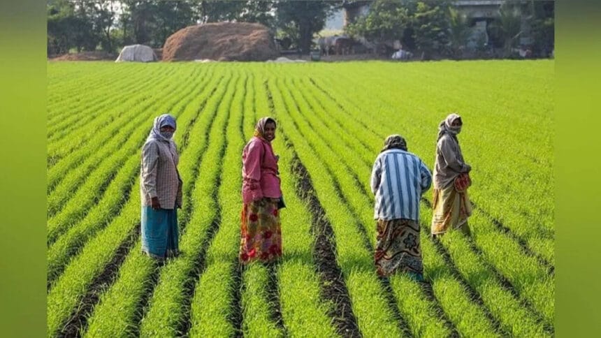योगी मॉडल के कारण संकट से निकल समृद्धि तक पहुंची खेती-किसानी