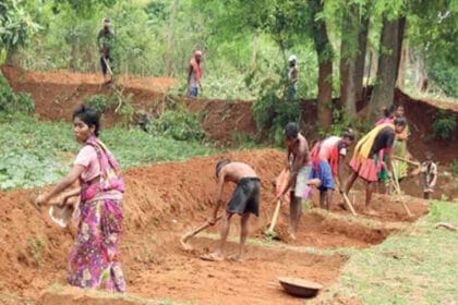 कबीरधाम जिला: प्रदेश में सर्वाधिक दिव्यांगों, महिलाओं और परिवारों को रोजगार देने