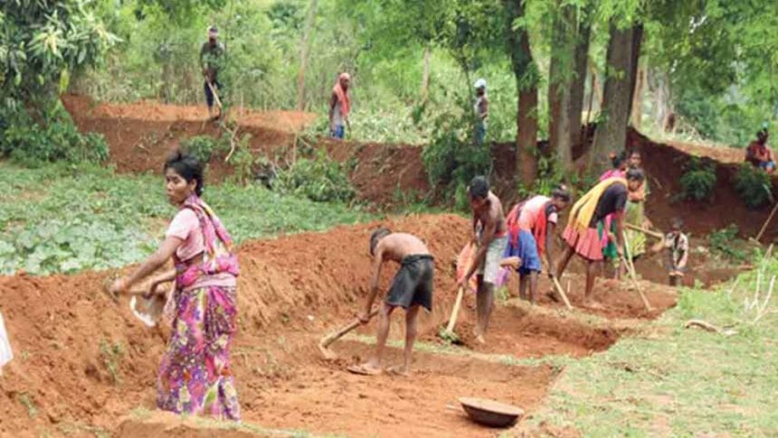 कबीरधाम जिला: प्रदेश में सर्वाधिक दिव्यांगों, महिलाओं और परिवारों को रोजगार देने