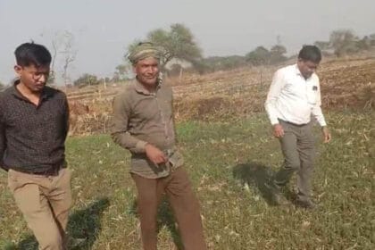 धमतरी : धमतरी जिले में फसल चक्र परिवर्तन एवं मृदा स्वास्थ्य सुदृढ़ीकरण की दिशा मे