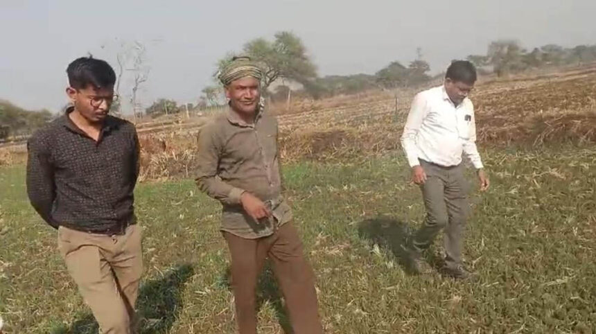 धमतरी : धमतरी जिले में फसल चक्र परिवर्तन एवं मृदा स्वास्थ्य सुदृढ़ीकरण की दिशा मे