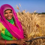 किसानों की मेहनत से भारत ने बनाई नई ऊंचाई, चीन भी रह गया पीछे, जानें क्यों है यह