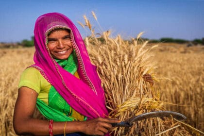 किसानों की मेहनत से भारत ने बनाई नई ऊंचाई, चीन भी रह गया पीछे, जानें क्यों है यह