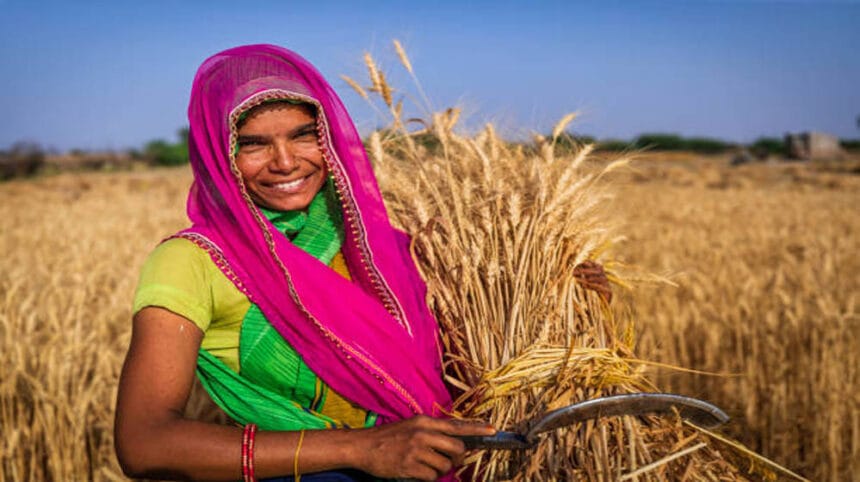 किसानों की मेहनत से भारत ने बनाई नई ऊंचाई, चीन भी रह गया पीछे, जानें क्यों है यह