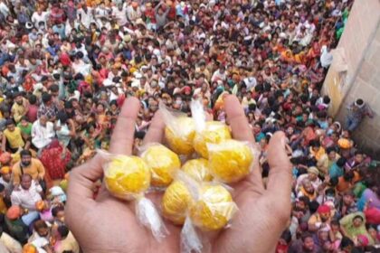 बरसाना होली उत्सव का कार्यक्रम जारी, 24 फरवरी लड्डू और 25 को लठामार होली