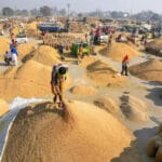 इस वर्ष समर्थन मूल्य पर 51 लाख 75 हजार मीट्रिक टन से अधिक हुई धान की खरीदी