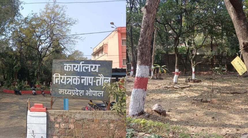 एमपी नगर में खाद्य भवन के निर्माण के लिए 150 पुराने पेड़ काटे जाएंगे, करेंगे ‘चि