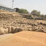 मोहन सरकार का बड़ा फैसला, गेहूं की MSP 2600 रुपये, किसानों को सिर्फ 15 रुपये बोन