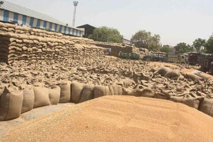 मोहन सरकार का बड़ा फैसला, गेहूं की MSP 2600 रुपये, किसानों को सिर्फ 15 रुपये बोन