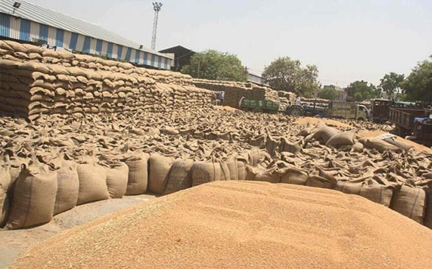 मोहन सरकार का बड़ा फैसला, गेहूं की MSP 2600 रुपये, किसानों को सिर्फ 15 रुपये बोन