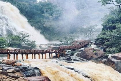 नए साल का जश्न प्रकृति के बीच: लोध फॉल में उमड़ी सैलानियों की भीड़, झरने का नजार