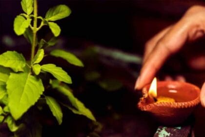बसंत पंचमी विशेष: शाम को तुलसी पूजन के लिए कितने बजे जलाएं दीपक?