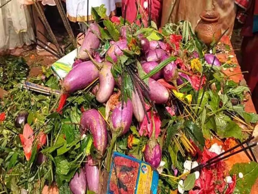 ना फूल–ना बेलपत्र, यहां बैगन से होती है पूजा—बिहार के अनूठे शिवधाम की खास परंपरा