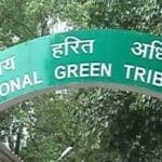 एनजीटी सख्त: भोपाल के वेटलैंड पर अवैध कब्जे पर कार्रवाई न होने पर प्रशासन को चेत