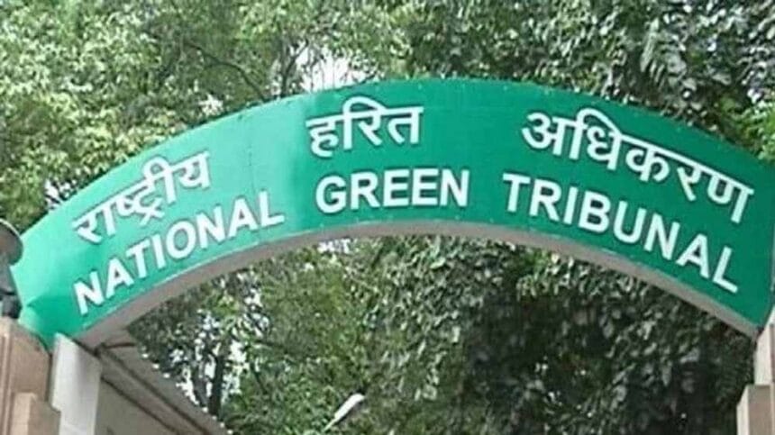 एनजीटी सख्त: भोपाल के वेटलैंड पर अवैध कब्जे पर कार्रवाई न होने पर प्रशासन को चेत