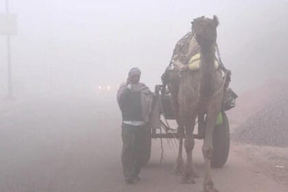 राजस्थान में शीतलहर और कोहरे का असर, 20 जिलों में स्कूलों की छुट्टी