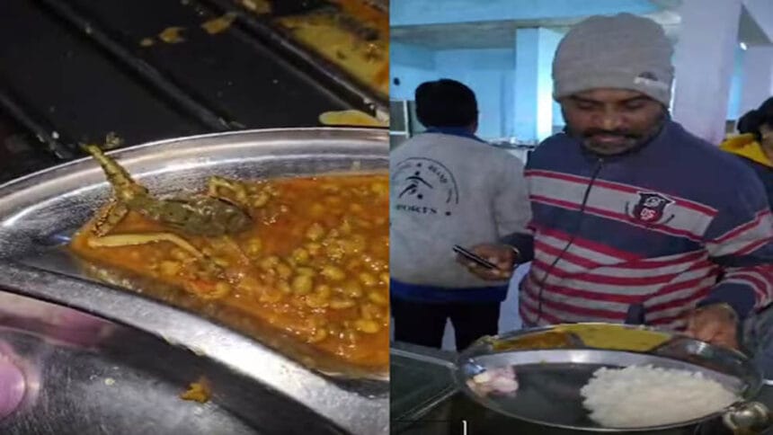 डेंटल कॉलेज मेस में मिली गंदगी, चावल में इल्ली, मरे हुए मेंढक और एक्सपायरी फूड प