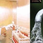पानी के 955 नमूनों में से 20 में मिला खतरनाक बैक्टीरिया
