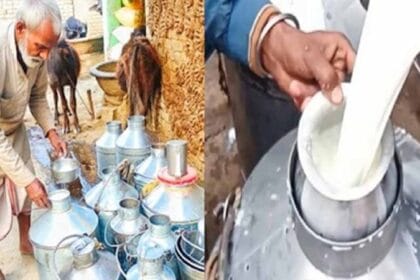 मकर संक्रांति से पहले दूध के 100 रुपये प्रति लीटर तक पहुंचे दाम