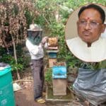 CG News: साय सरकार में खेती के साथ मधुमक्खी पालन बनीं उदय राम की रोजगार की कुंजी