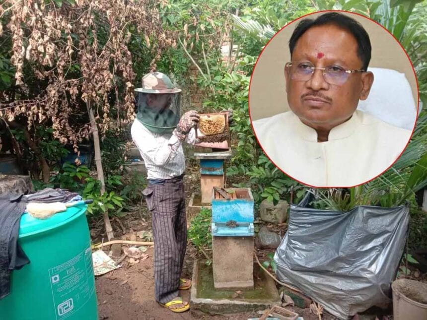 CG News: साय सरकार में खेती के साथ मधुमक्खी पालन बनीं उदय राम की रोजगार की कुंजी