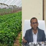 पीवीटीजी क्षेत्रों में उद्यानिकी योजनाओं के प्रभावी क्रियान्वयन पर विशेष फोकस कर