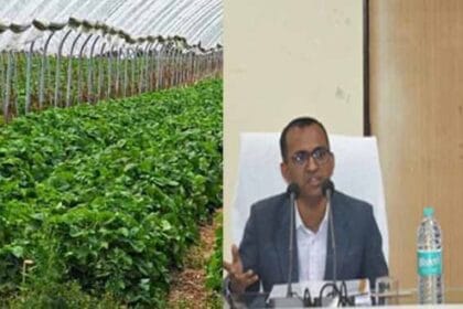 पीवीटीजी क्षेत्रों में उद्यानिकी योजनाओं के प्रभावी क्रियान्वयन पर विशेष फोकस कर